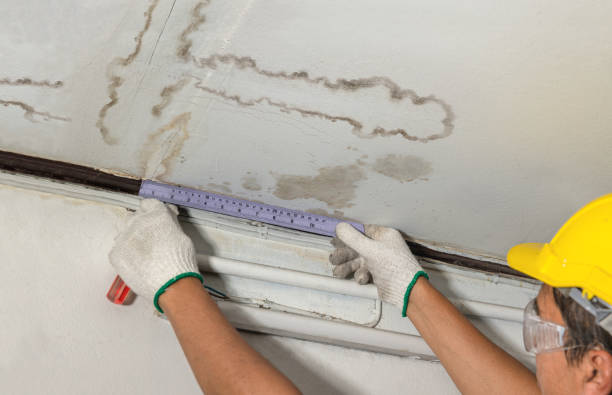 Reliable Mold Remediation contractor in Burlington, NJ by Water Damage Irwin